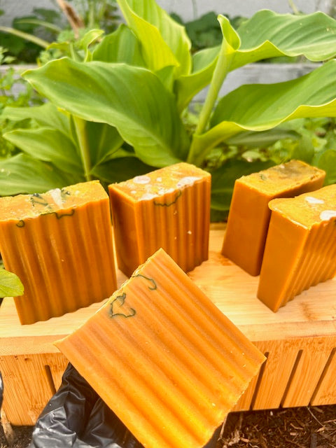 TURMERIC LEMON BODY & FACE SOAP