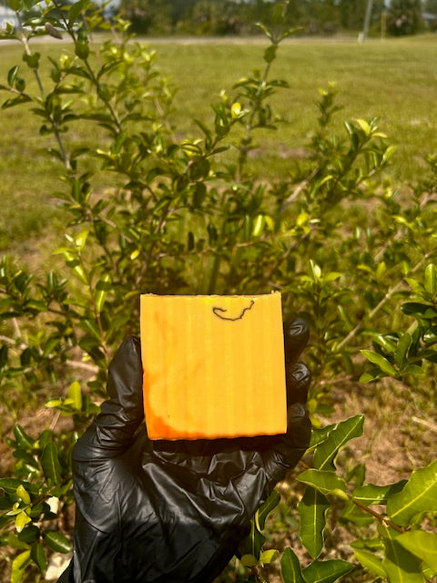 TURMERIC LEMON BODY & FACE SOAP