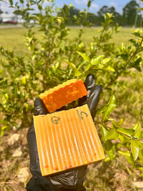 TURMERIC LEMON BODY & FACE SOAP