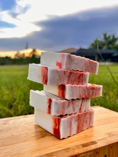 SEA MOSS BODY & FACE SOAP