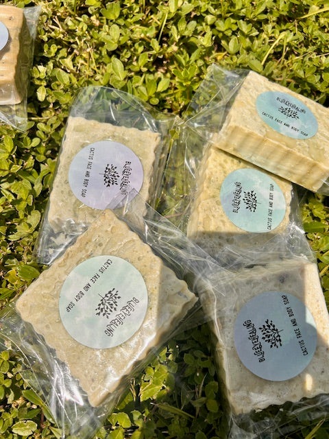 CACTUS FACE & BODY SOAP