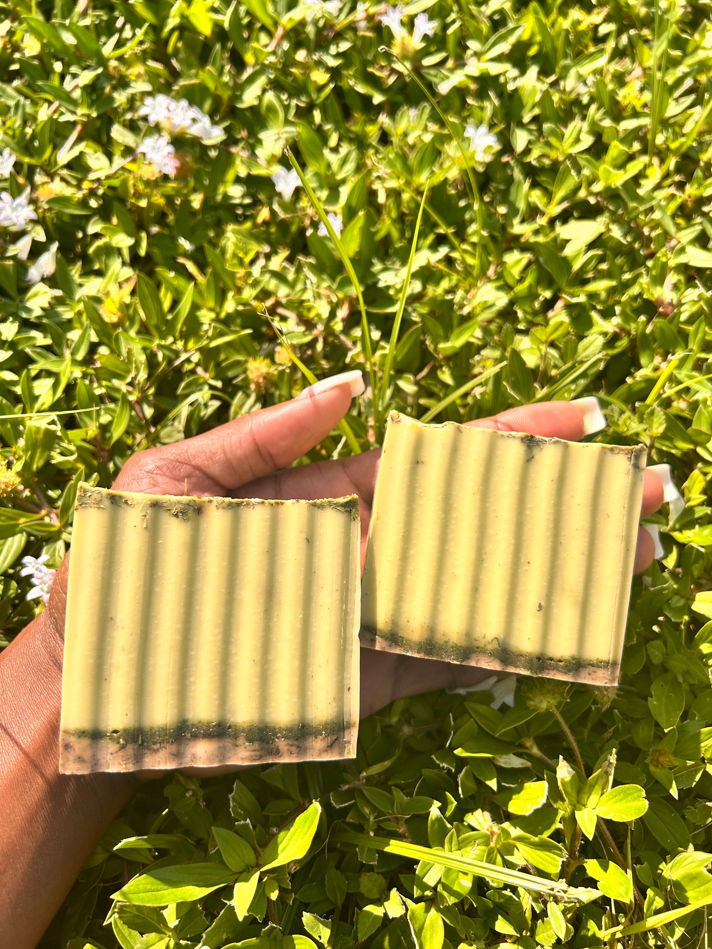 CASSIA OBOVATA- 
BODY & FACE SOAP