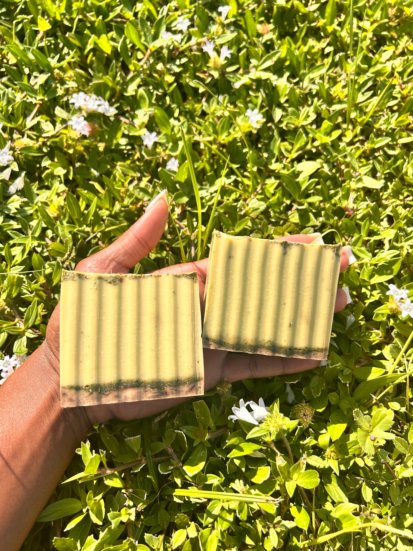 CASSIA OBOVATA- 
BODY & FACE SOAP