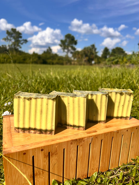 CASSIA OBOVATA- 
BODY & FACE SOAP