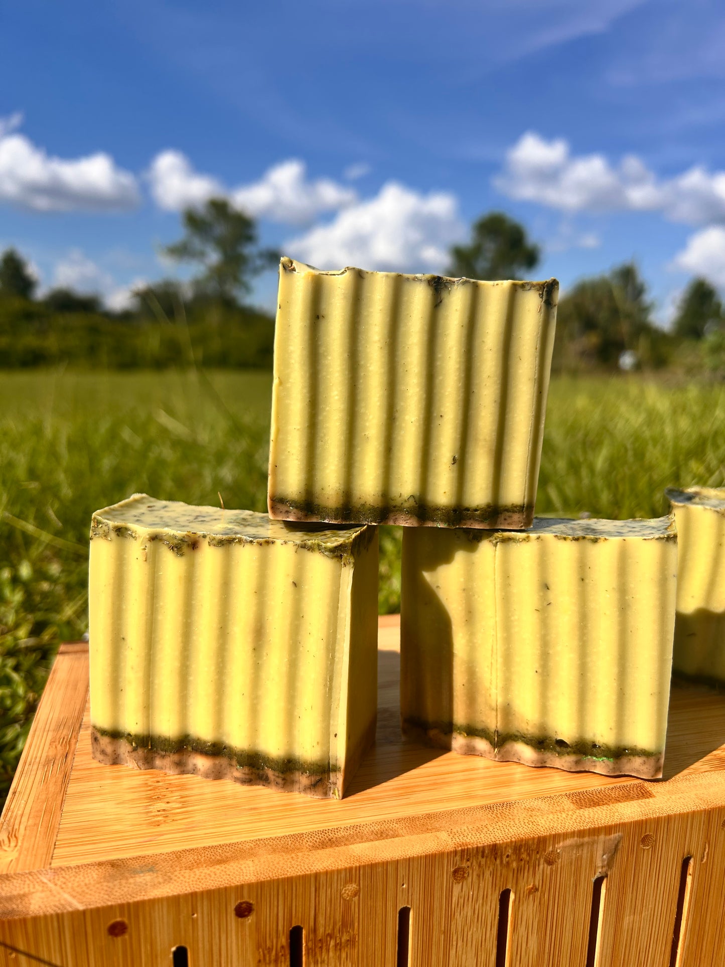 CASSIA OBOVATA- 
BODY & FACE SOAP