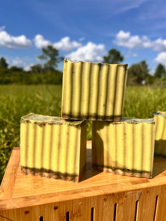 CASSIA OBOVATA- 
BODY & FACE SOAP